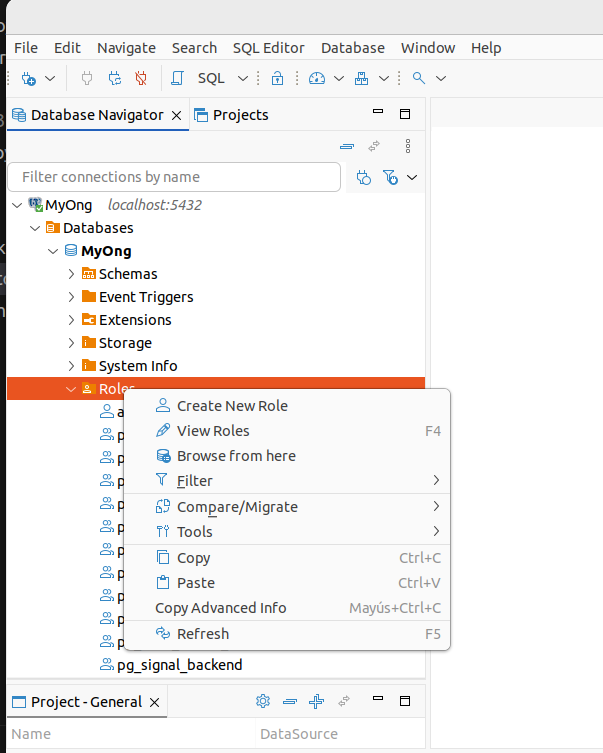 Creamos el nuevo rol ong_root